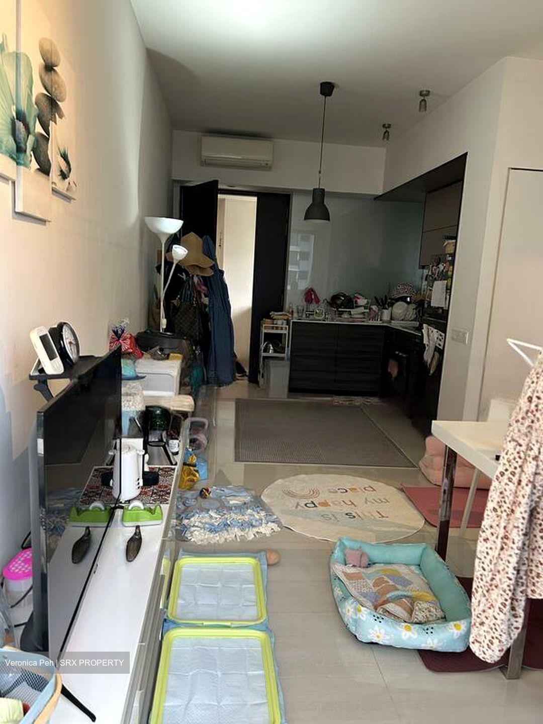 d'Nest (D18), Condominium #472849861